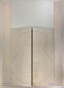 Back & Sides Sycamore / Europ. Maple, Archtop Unique Piece #020
